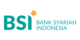 BSI Net Banking logo